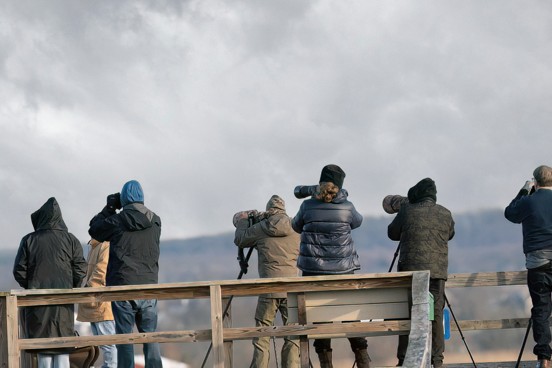 Shawangunk Grasslands platform and gazebo